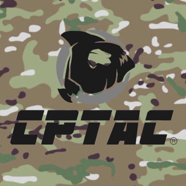 cptachile.com